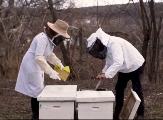 Turte dulci pentru albine – o afacere inovativă pe ambele maluri ale Nistrului