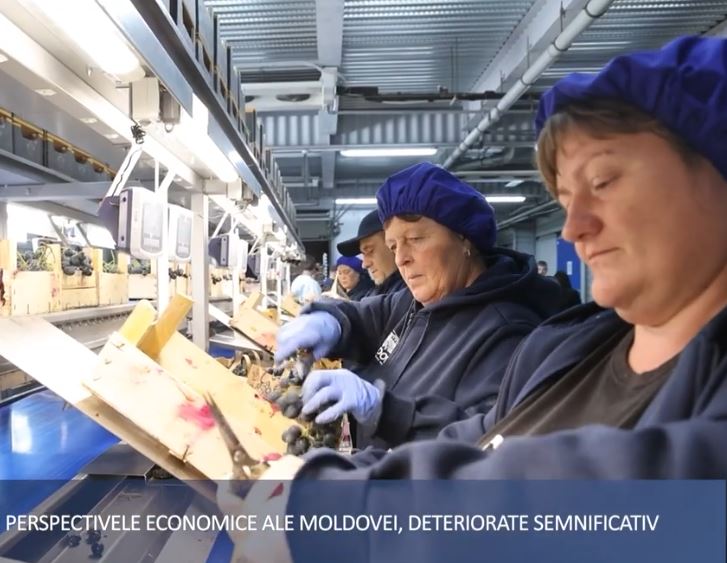 Peste 1600 de ucraineni sunt angajați în Republica Moldova.