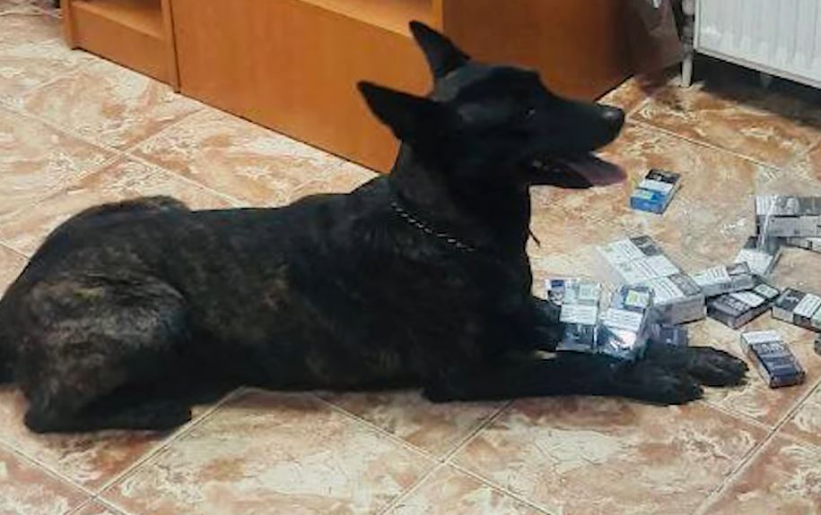 (video) 12 600 de țigări găsite în tavanul unui microbuz la vama Costești. Șoferul în vârstă de 43 de ani a declarat doar bunuri personale.