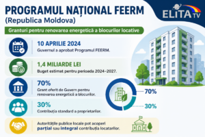 Infografic elaborat de ELITA TV cu aplicarea IA